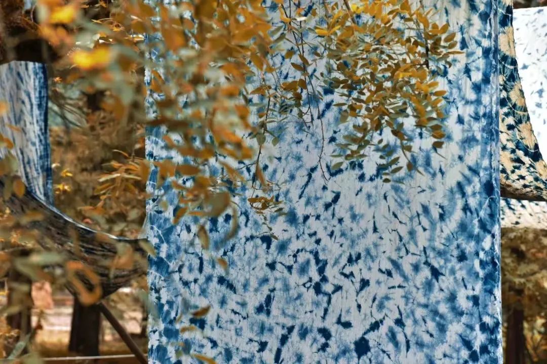 1674986974489415ZA0j.jpg